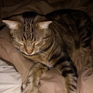 Meet your Posher, William